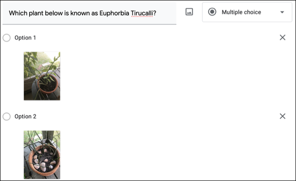 SetUpMultipleChoice-GoogleFormsImageQuestions