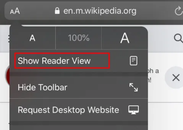 Show-Reader-View-on-Safari-iPhone