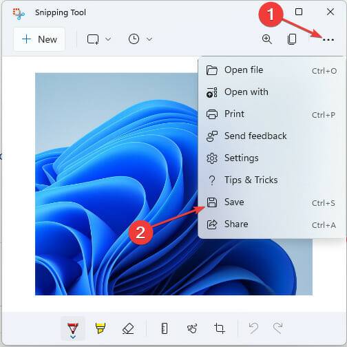 Snip-Tool-1 Snip-Tool-1