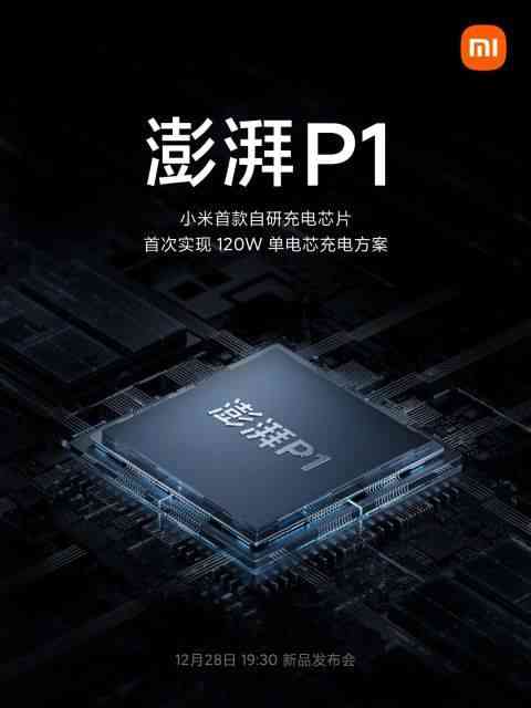 Surge-P1-chip-1