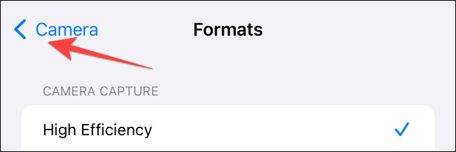 Tap-on-the-camera-in-top-left-corner-to-go-to-previous-menu-on-iphone