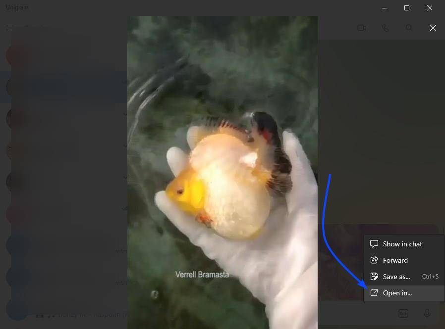 Unigram-open-in-external-video-player