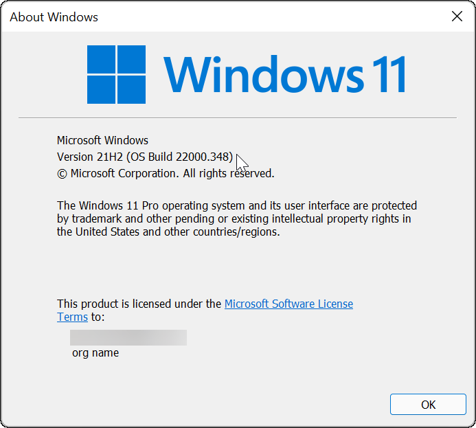 Version-and-Build-Windows-11-via-winver-command