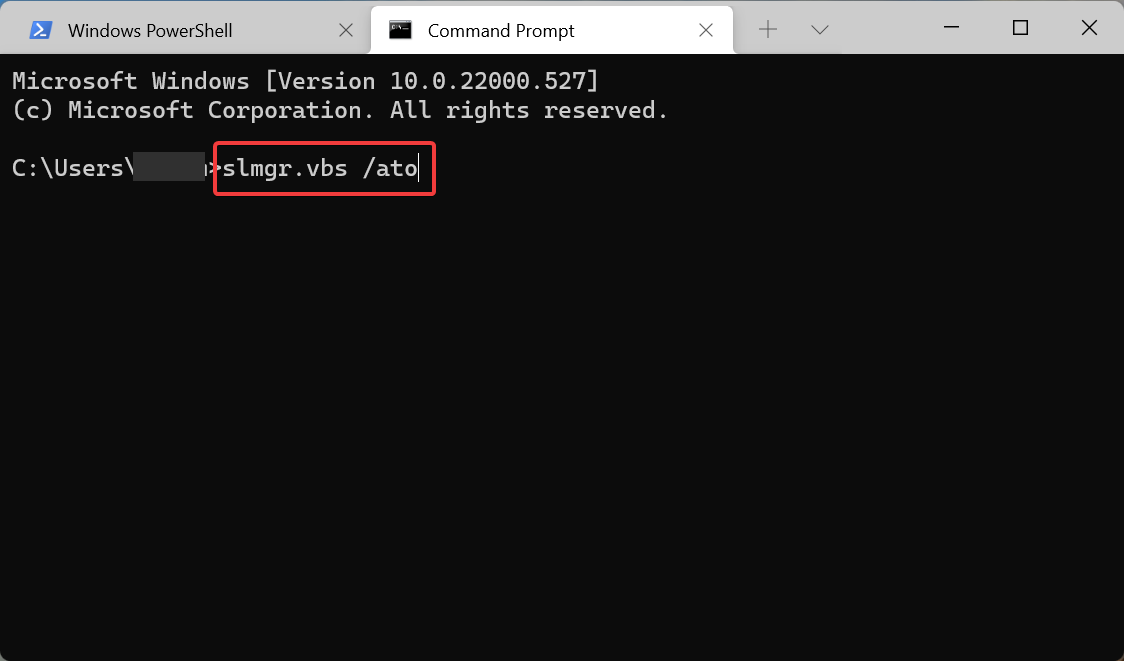 WindowsTerminal_OPg8qNYmxX