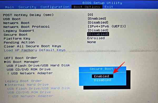 access-bios-win-11-31 access-bios-win-11-31