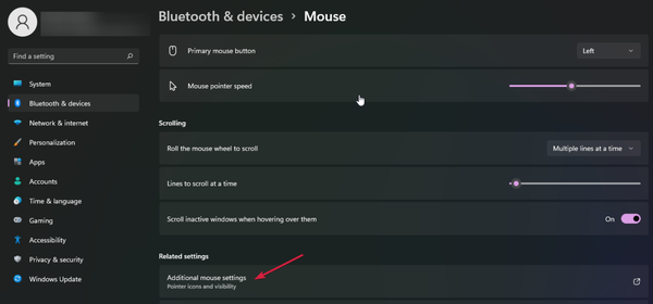 additional-mouse-settings