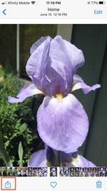 airdrop14-153x273-1 airdrop14-153x273-1