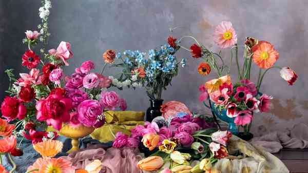 apple_shot-on-iphone-feb-21_underwood-hero_02122021-scaled-1 apple_shot-on-iphone-feb-21_underwood-hero_02122021-scaled-1