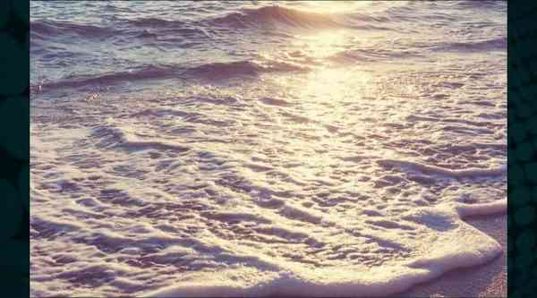 beaches-theme-1 beaches-theme-1