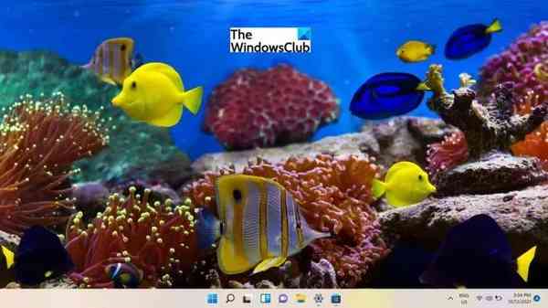 best-free-windows-11-themes-skins-to-download-fish-and-corals