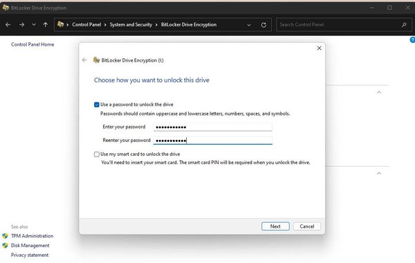 bitlocker4-e1628540237153.png.webp