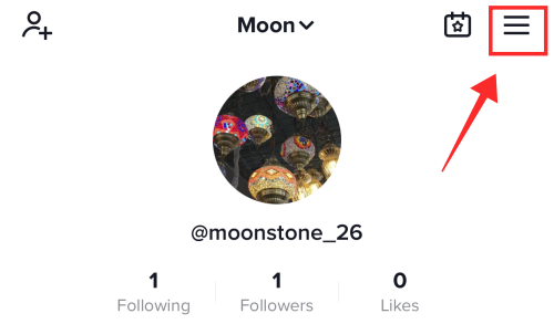 burger-button-tiktok-1-e1645591039377