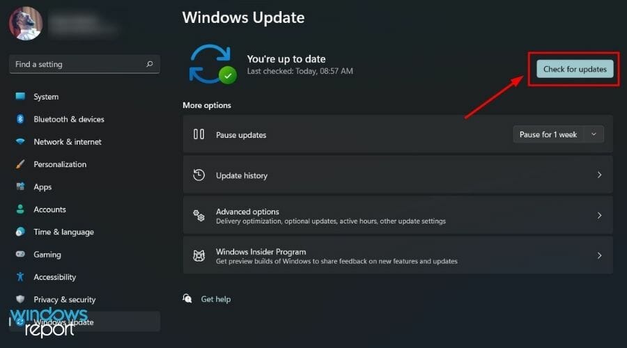 check-for-updates-windows-11