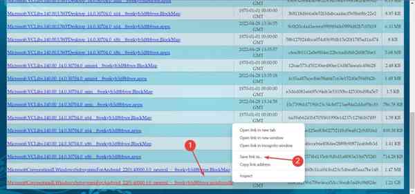 chrome_PJSDHt8yar