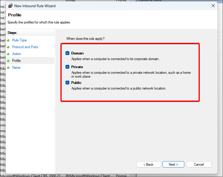 connection-type-firewall-windows-11 connection-type-firewall-windows-11
