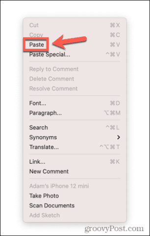 copy-paste-mac-paste-context-306x480-1 copy-paste-mac-paste-context-306x480-1
