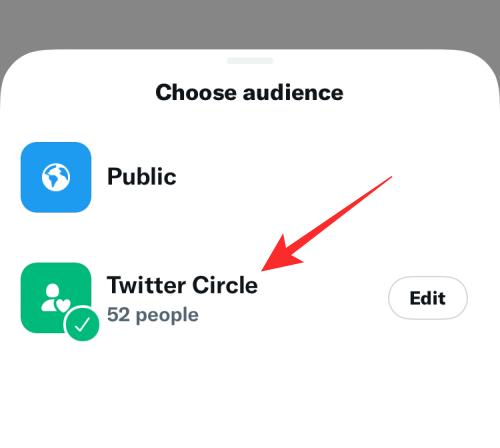 create-a-twitter-circle-14-a