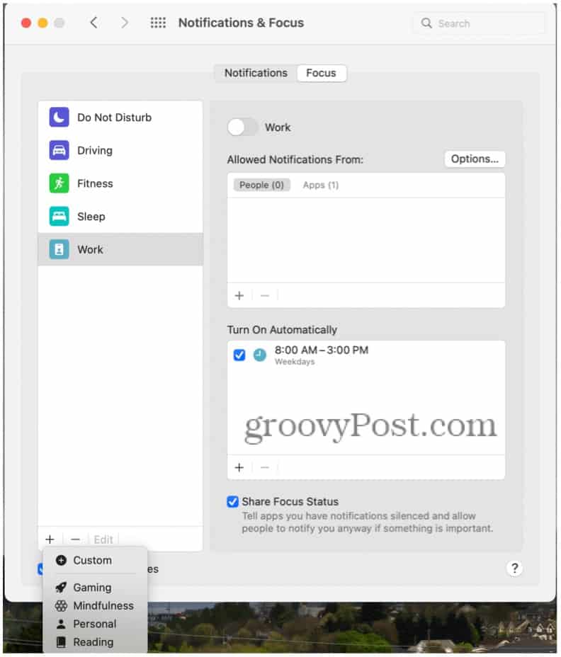 custom-focus-1
