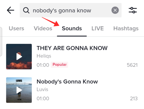discover-tiktok-search-2 discover-tiktok-search-2