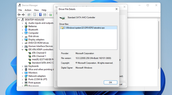 driver-file-details-window2