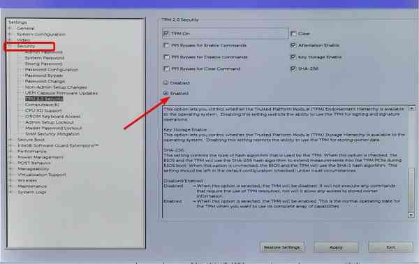 enabled-tpm-bios