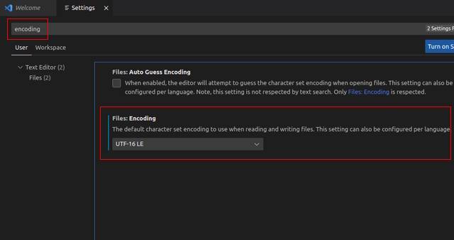 file_encoding_vscode