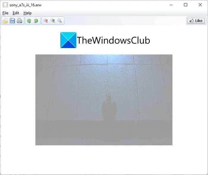 freefileviewer_view-arw-file-windows-11-10