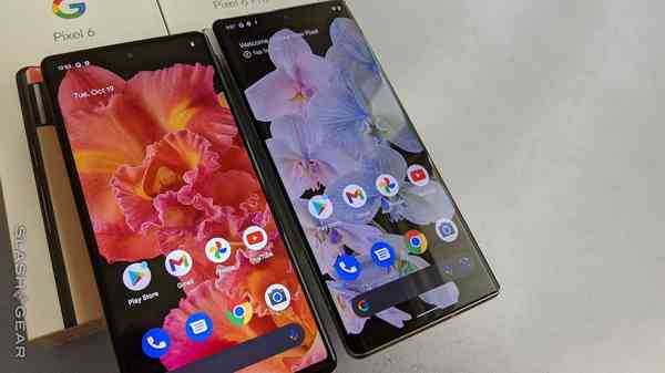 googlepixel6_photos_13