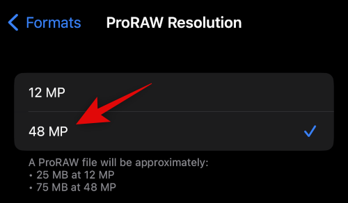 how-to-capture-48-mp-images-on-iphone-14-pro-5