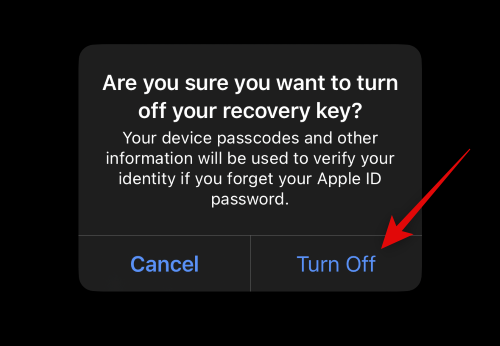 how-to-enable-and-use-advanced-data-protection-iphone-26