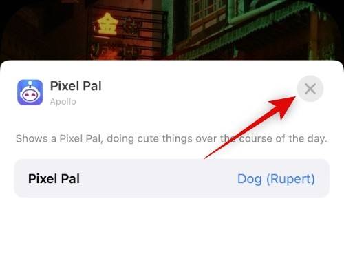 how-to-get-pixel-pals-14-pro-15