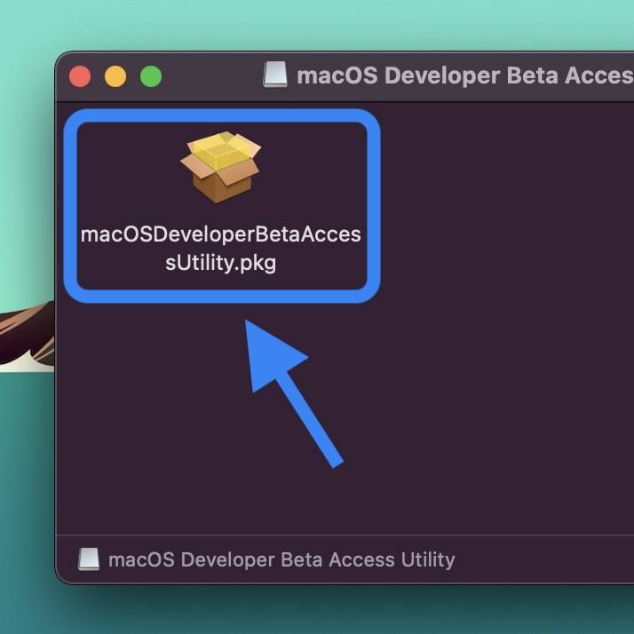 how-to-install-macos-monterey-beta-walkthrough-6-1