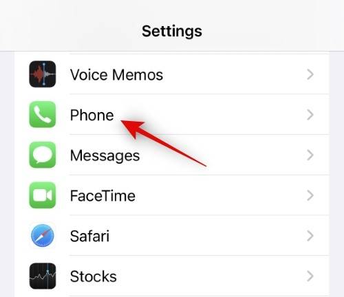 how-to-make-facetime-full-scren-1