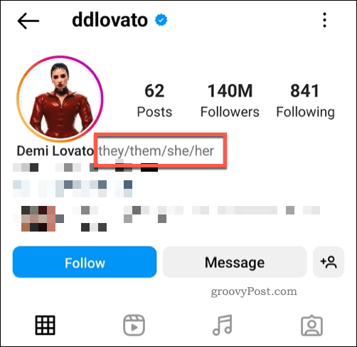 instagram-pronoun-example