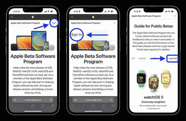install-watchos-9-public-beta-1