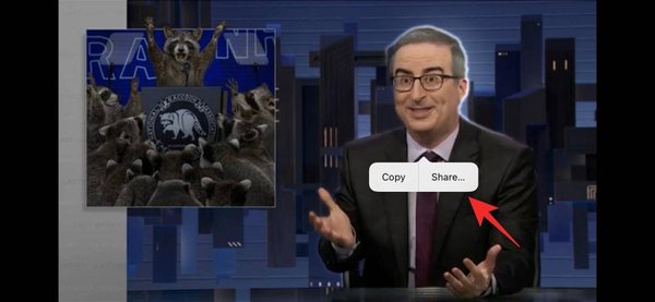 ios-16-how-to-extract-subject-from-video-6