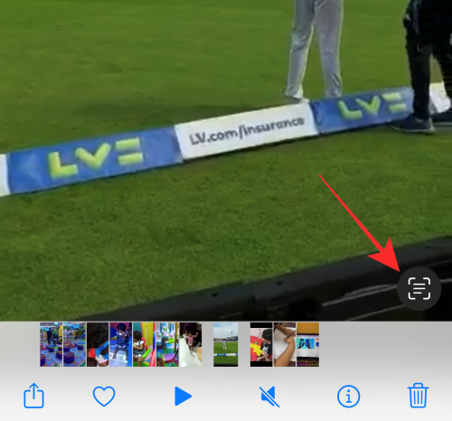 iphone-videos-live-text-button iphone-videos-live-text-button