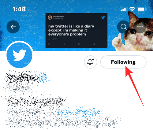 leave-a-twitter-circle-18-a-2