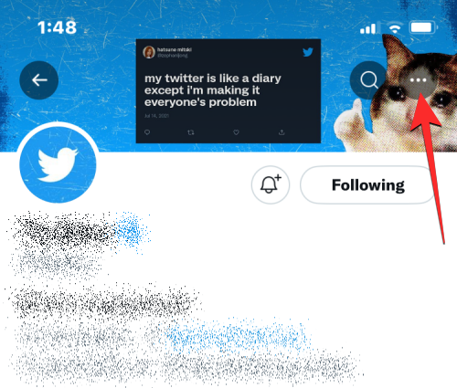 leave-a-twitter-circle-21-a-2