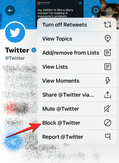 leave-a-twitter-circle-22-b-2