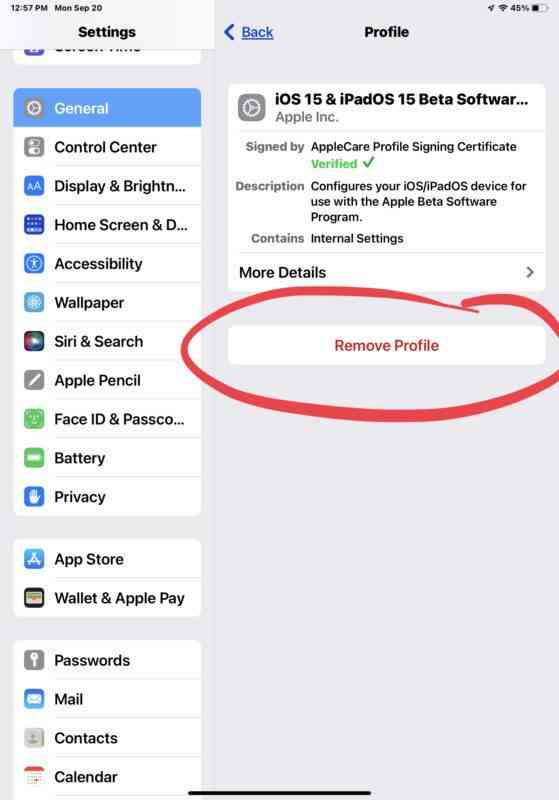 leave-ios-15-beta-remove-beta-profile-iphone-ipad-3-559x800-1