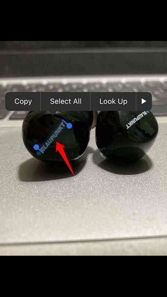 live-text-feature-iOS-15