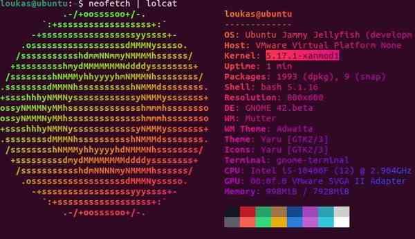 neofect-xanmod-kernel-check