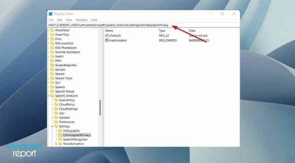 online-speech-recognition-disable-windows-11