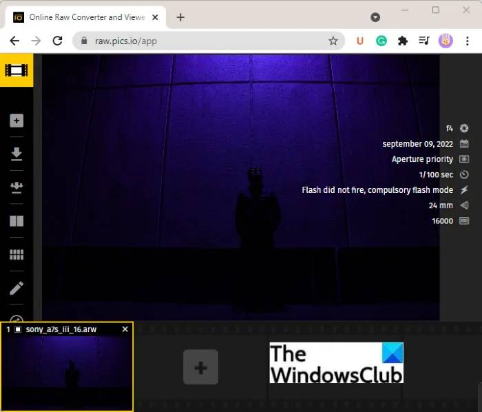 rawpics-io_view-arw-file-windows-11-10 rawpics-io_view-arw-file-windows-11-10
