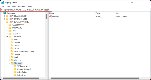 reg-microsoft1 reg-microsoft1