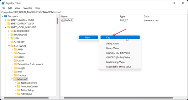 reg-microsoft2 reg-microsoft2