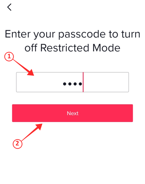 restricted-mode-tiktok-3