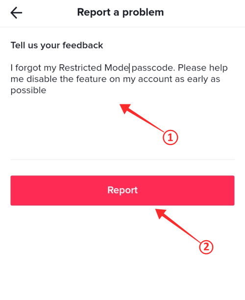 restricted-mode-tiktok-6