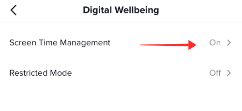 screen-time-management-tiktok-e1645591102234